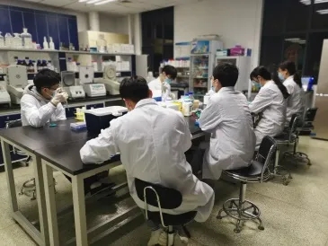 水稻表观遗传课题组学生日常科研活动